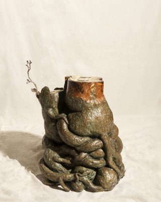 SUBJECTS OF DEFORESTATION